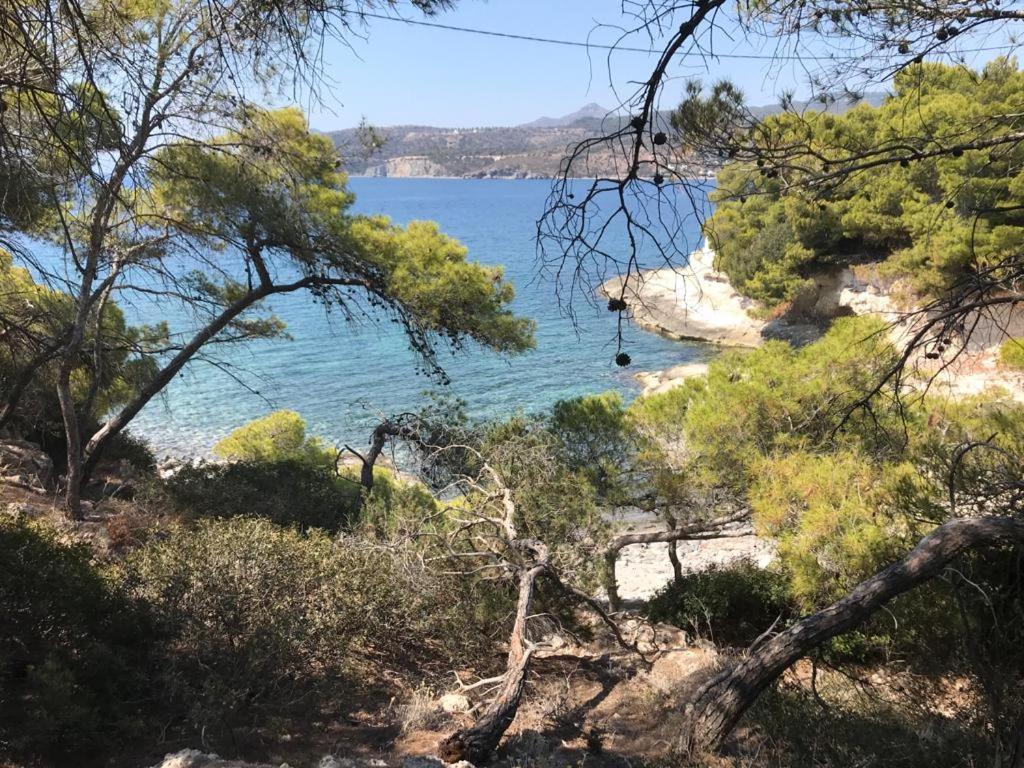 Vana Kavos Daire Agia Marina  Dış mekan fotoğraf