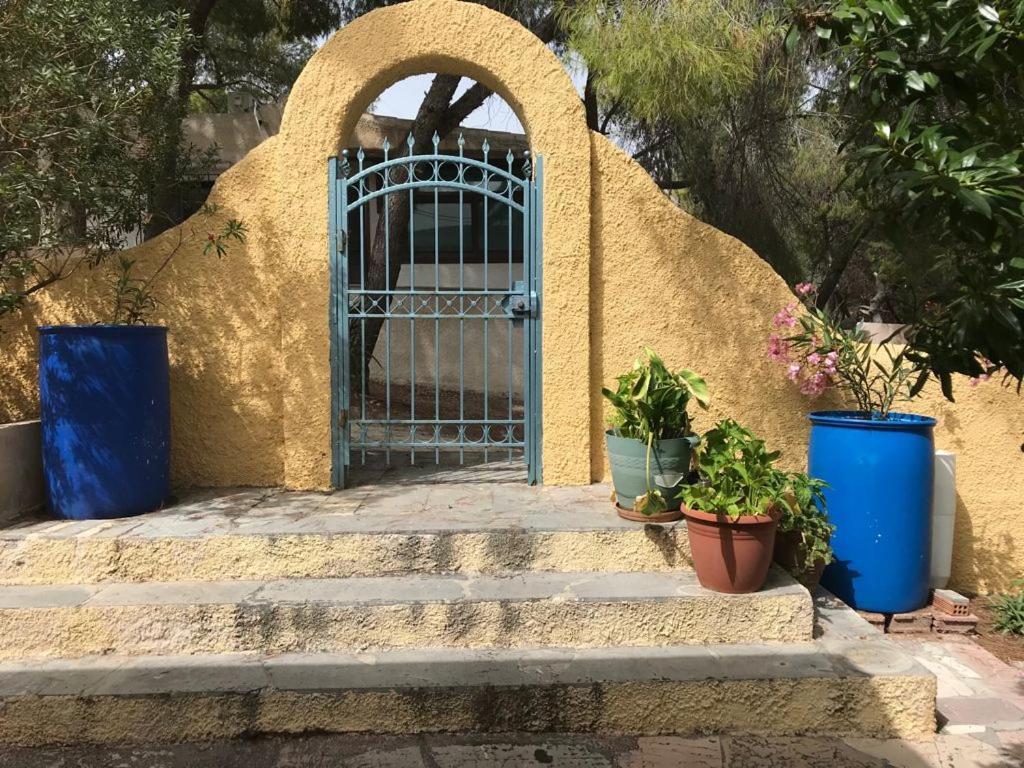 Vana Kavos Daire Agia Marina  Dış mekan fotoğraf